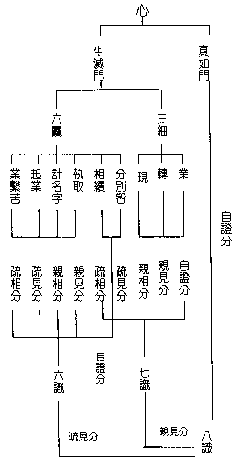 八识简表及图解图片