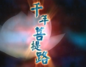 佛教纪录片《千年菩提路》45集